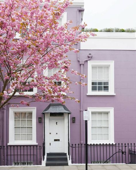 For those craving more nature than they can get from their daily walk, here's a colourful dose of blossom from London's parks, gardens and florists #spring #London #flowers Pink House Exterior, London Flowers, Lavender House, Outside House Colors, Best Exterior House Paint, Lavender Paint, Purple House, Wardrobe Interior, Vintage Homes