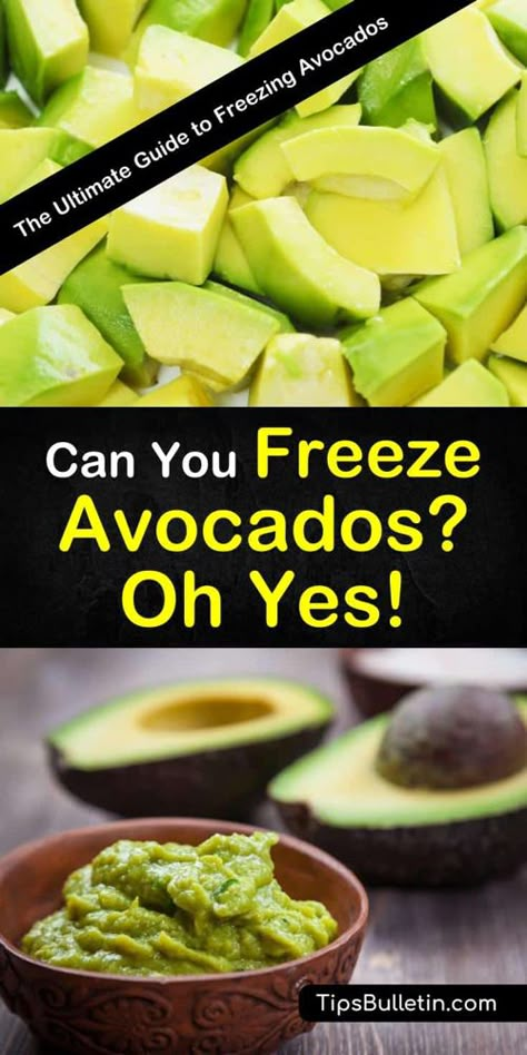 Can I Freeze Avocado, Can You Freeze Avacodos, How To Freeze Avocado How To Store, Freezing Avocados How To, Best Way To Store Avocados, What To Do With Ripe Avocados, Freezing Avacados, Freezing Guacamole, Avocado Freezing