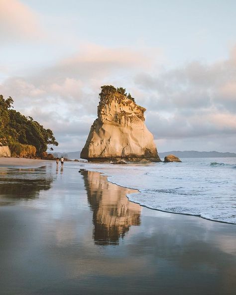 Giulia Gartner on Instagram: “Who would want to go for a romantic walk on the beach in New Zealand’s paradise? 💛😍” Cathedral Cove, Beach Walk, One Light, Mount Rushmore, New Zealand, The Beach, Natural Landmarks, Photo And Video, Water