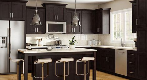 Franklin Manganite | Home Decorators Cabinetry Grey Interior Paint, Diy Kitchen Cabinets Makeover, Stock Kitchen Cabinets, Shaker Door Styles, Stained Doors, Plywood Cabinets, Black Kitchen Cabinets, Kitchen Cabinets Makeover, Dark Kitchen Cabinets