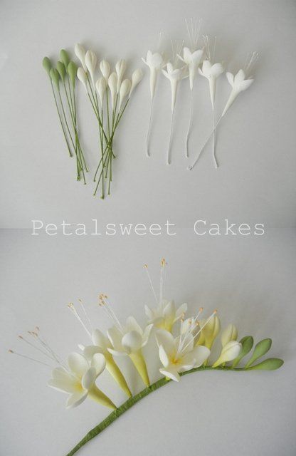 Italian Dough Flowers, Sugar Paste Flowers, Cake Beautiful, Sugar Flowers Tutorial, Fondant Flower Tutorial, Cold Porcelain Flowers, Icing Flowers, Fleurs Diy, Gum Paste Flowers