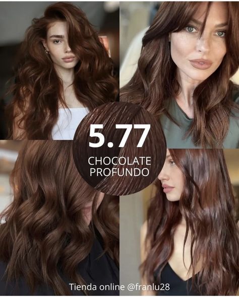 Salon Hair Products, Mocha Color Hair, Professional Hair Products, Color Block Hair, Mocha Hair, Hair Dye Removal, Chocolate Brown Hair Color, Chestnut Hair Color, Brown Hair Looks