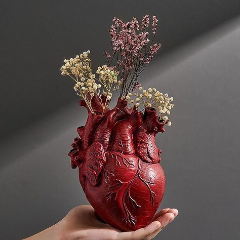 Heart Organ, Heart Shaped Vase, Heart Vase, Human Sculpture, Anatomical Heart, Container Flowers, Plant Art, Large Vase, Small Vase