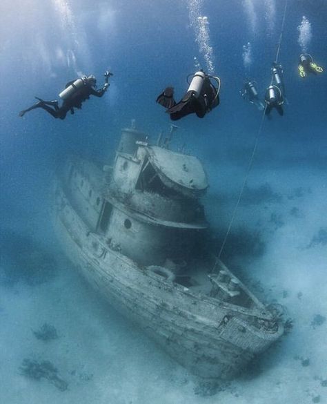 It is not down in any map; true places never are.  Herman Melville  Photo by @scubadivinghappy #diving_photography #divingphoto #divinglife #bahamas #bahamas Cat Island, Grand Bahama, Bahamas Vacation, Bahamas Island, Best Scuba Diving, Abandoned Ships, Water Adventure, Koh Tao, The Bahamas