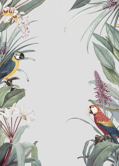 Frame with tropical vintage illustration | Premium Vector - rawpixel Dark Phone Wallpaper, Phone Wallpaper Dark, Banner Frame, Paradise Bird, Frame Illustration, Green Parrot, Paradise Plant, Tropical Illustration, Backgrounds Girly