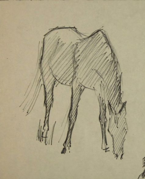 Horse Grazing Drawing, Pen Drawings People, Horse Pen Drawing, Animal Pencil Sketches, Drawings Of Horses, Horse Sketch Art, Sketch Horse, Horse Sketches, Horse Doodle