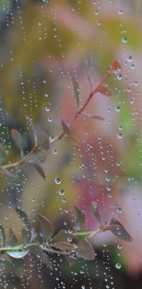 I Love Rain, Kindred Spirit, Charcoal Drawings, Love Rain, Singing In The Rain, Walking In The Rain, Spring Rain, Rainy Night, Sound Of Rain