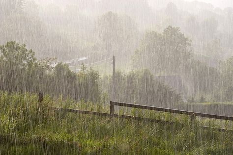 30 Of The Saddest Songs Every Country Music Fan Can't Help But Love English Summer, I Love Rain, Rain And Thunder, Love Rain, Summer Rain, Sound Of Rain, Rainy Weather, When It Rains, Pretty Photos