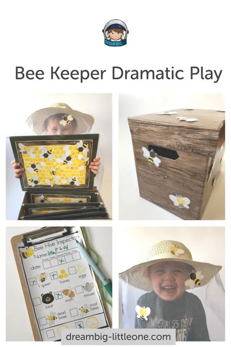 Insect Study, Honey Bee Theme, Insects Preschool, Dramatic Play Ideas, Bugs Preschool, Bee Activities, Dramatic Play Center, Bee Classroom, Prop Box