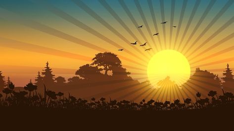 Sunrise in forest with sunburst and bird... | Premium Vector #Freepik #vector #morning-background #morning-sun #dawn #morning Sunrise Animation, Morning Cartoon Images, Sunrise In Forest, Background Morning, Morning Background, Sunrise Drawing, Sun Dawn, Sunrise Background, Forest Cartoon