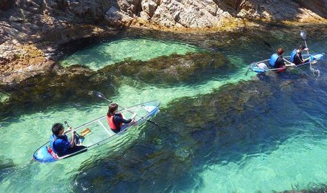 Explore the Tottori Coast in a Transparent Canoe Transparent Kayak, Clear Kayak, Visiting Japan, Japan Prefectures, Flying In The Sky, Working Holiday, Tottori, Sea Of Japan, Kyoto Travel