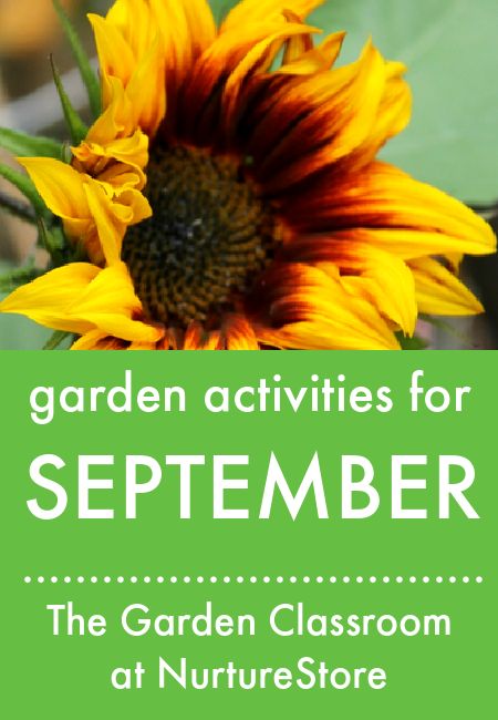 Garden activities for September :: The Garden Classroom - NurtureStore Fall Garden Activities For Kids, Garden Club Program Ideas, Garden Club Activities, Kids Gardening Activities, Activities For September, Gardening Activities For Kids, Seeds Crackers, School Garden Club, Gardening Kids Activities