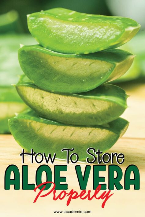 How To Store Aloe Vera Leaves, How To Store Aloe Vera Gel At Home, What To Make With Aloe Vera, Aloe Vera Remedies, How To Store Fresh Aloe Vera Gel, How To Process Aloe Vera, Storing Aloe Vera Gel, Cooking With Aloe Vera, Aloe Vera Plant For Skin