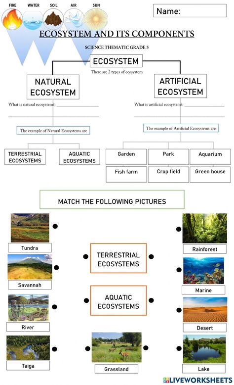 Terrestrial Ecosystems, Umar Bin Khattab, Plants Worksheets, Crop Field, Aquatic Garden, Aquatic Ecosystem, Natural Ecosystem, Science Activities For Kids, Fish Farming