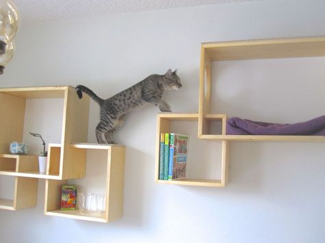 When someone asks “what type of cat tree should I get if I want it to match my contemporary interior design?” it's quite difficult to come up with a valid Diy Cat Shelves, Katt Diy, Cat Tree Designs, Cat Climbing Shelves, Cat Climbing Wall, Katt Grejer, Kat Diy, Chat Diy, Cat Shadow