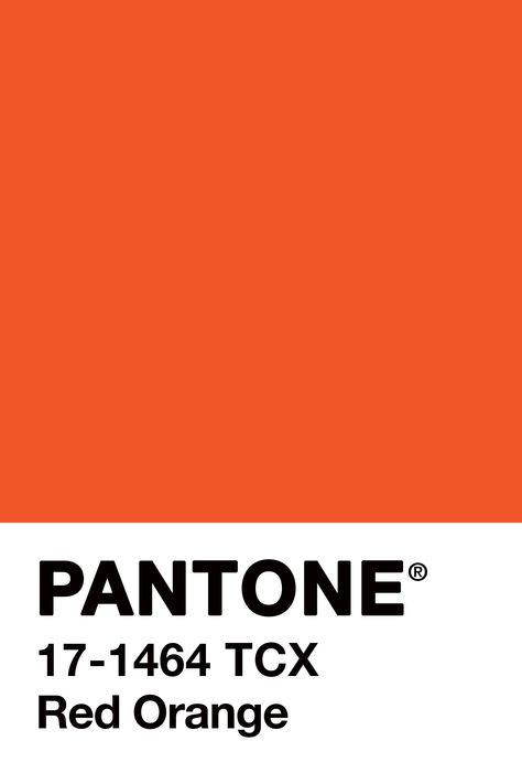 Pantone Orange, Pantone Red, Pantone Palette, Pantone Colour Palettes, Mood Board Inspiration, Beautiful Color Combinations, Festival Posters, Colour Board, Wedding Event Planning