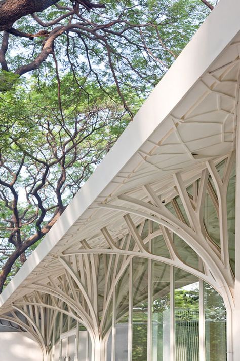 The Tote / Serie Architects (Pretty  but wouldn't want to knock down spider's webs every year) Serie Architects, Architecture Cool, Tree Structure, Organic Structure, Sacred Architecture, Architecture Model Making, Structure Architecture, Organic Architecture, Zaha Hadid