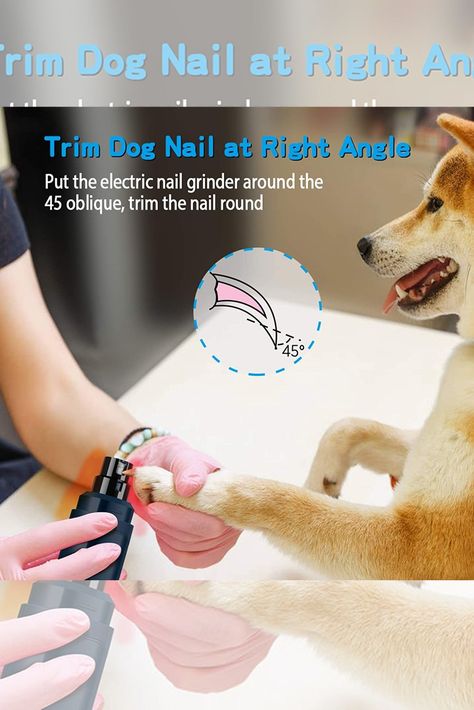 Casfuy Dog Nail Grinder Upgraded - Professional 2-Speed Electric Rechargeable Pet Nail Trimmer Painless Paws Grooming & Smoothing for Small Medium Large Dogs & Cats (Dark Blue) Trimming Dog Nails, Dog Water Dispenser, Cat Dark, Nail Trimmer, Cat Activity, Dog Phone, Dog Nails, Trim Nails, White Dogs