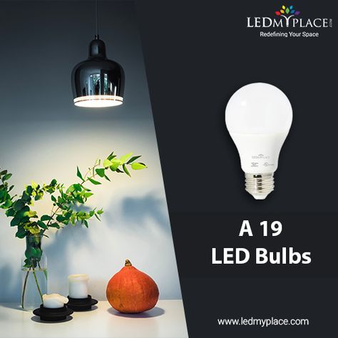 Free Shipping on Purchase A19 LED Bulbs on LEDMyplace in USA. Our LED bulbs lasts 5-6 times longer than the CFLs, thus helping you to get rid of replacement hassles and replacement costs for at least 3 years.  #dimmableledlightbulbs #outdoorledbulbs#ledbulbs #homedecor #a19ledbulbs #dimmableledbulbs#California #Oregon #USA Compact Fluorescent Lamps, Commercial Construction, Buy Sell Trade, Die Casting, Free Classified Ads, Oregon Usa, Lamp For Bedroom, Creative Artwork, Led Light Bulbs