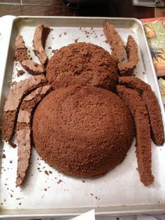 I do think birthday parties should be all about the food, and especially all about homemade cake. But, much to my children’s disappointment, I draw the line at shaped cakes. But my resolve was broken this year when I agreed to make my youngest son a spider-shaped cake for his 5th birthday. Bug Cakes For Boys, Spiderman Birthday Party Food, Bug Birthday Cakes, Spider Party, Cake Fall, Halloween Torte, Decorating Halloween, Spider Cake, Shaped Cakes