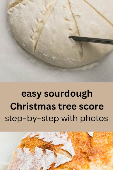 a sourdough bread baked in a dutch oven and scored with christmas trees Christmas Tree Bread Scoring, Sourdough Tree Design, Christmas Tree Sourdough Bread Scoring, Tree Sourdough Scoring, Christmas Scoring Bread, Christmas Tree Scoring Sourdough, Christmas Scoring Sourdough, Sourdough Christmas Scoring, Christmas Tree Sourdough Scoring