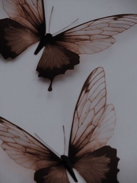 •Kelebek Godric Hollow, Moth Aesthetic, Fairies Aesthetic, Gabriel Agreste, Butterfly Art Painting, Hawk Moth, Magic Aesthetic, Wallpaper Tumblr, Phone Wallpaper Patterns