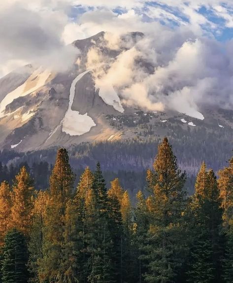 Lassen National Park, Nature Aesthetics, Lassen Volcanic, California Trip, Lassen Volcanic National Park, West Coast Road Trip, California National Parks, Road Trip Planning, National Parks Trip