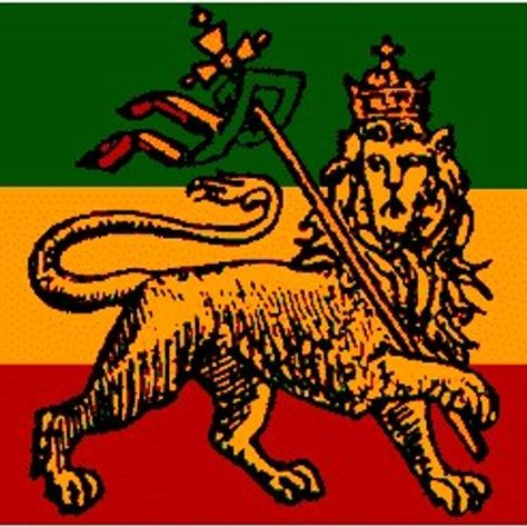 Roots Reggae Music, Wing Chun Training, Green And Black Background, Ethiopian Flag, Reggae Art, Roots Reggae, Fair Play, Reggae Music, Lion Of Judah