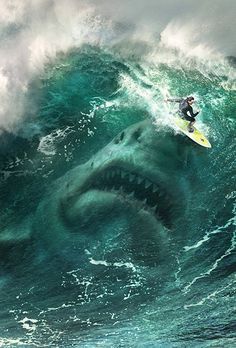 Scary Ocean, Sharks Scary, Mariana Trench, The Meg, Shark Photos, Shark Pictures, Megalodon Shark, Images Disney, Shark Art