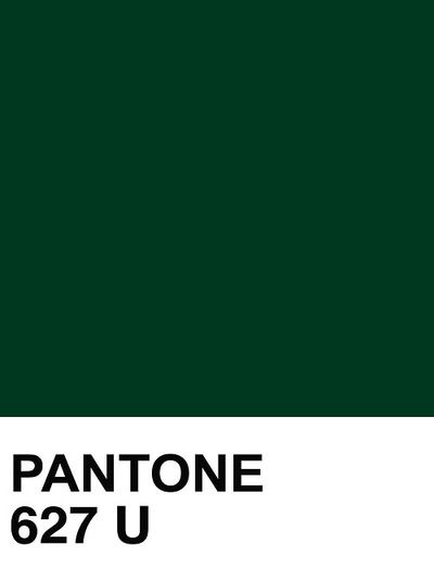 Hi y'all! Time for a "one match wonder". Darkest forest green Pantone Green, Green Accent Walls, Green Color Schemes, Forest Green Color, Green Colour Palette, Emerald Color, Bedroom Green, Colour Board, Green Paint