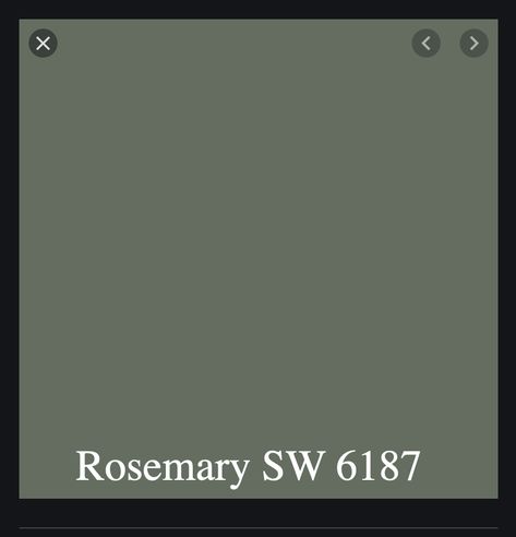 Sw Rosemary Paint, Sw Rosemary, Pam Office, Rosemary Sw, Garage Hangout, Island Colors, Paint Bathroom, Boho Quotes, Closet Colors