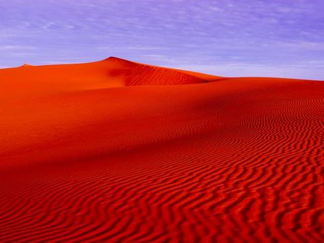 Australia Landscape Photography, Red Sand Desert, Red Desert Aesthetic, Australia Desert, Simpson Desert, Orange Desert, Red Landscape, Red Desert, Cheapest Flights