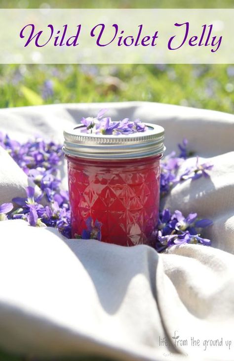 Homemade Violet Jelly Violet Jelly, Farmers Life, Couples Recipes, Modern Homestead, Backyard Farm, Urban Farm, Pint Jars, Fruit Jelly, Jelly Jars