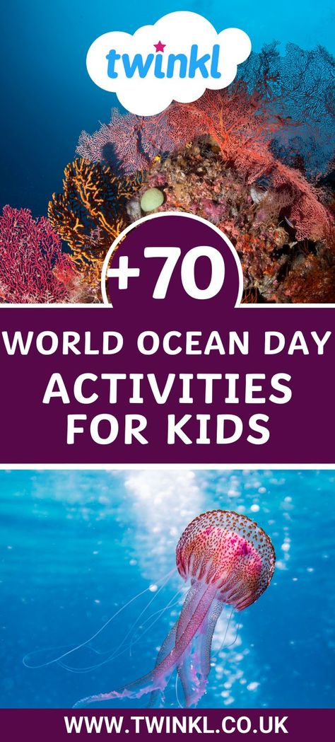 World Ocean Day Activities, Ocean Day Activities, Ocean Biome, Ocean Facts, World Ocean Day, Ocean Classroom, World Oceans Day, Key Stage 1, Ocean Day