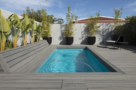 Pool Composite Decking, Composite Decking Australia, Composite Decking Around Pool, Composite Pool Deck, Decking Colours Ideas, Composite Decking Pool, Beach House Pool, Garden Pool Design, Trex Composite Decking