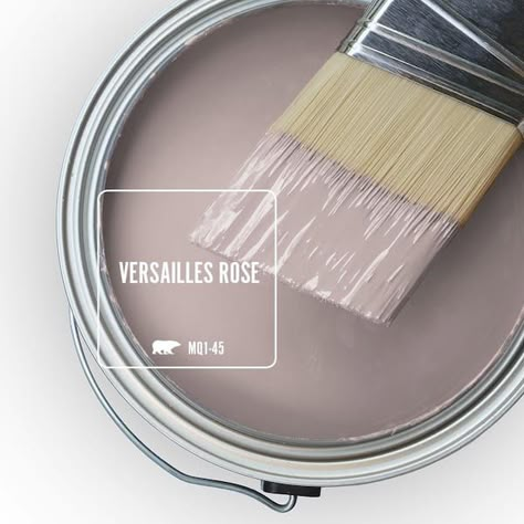 Behr Mauve It, Best Colors For Bathroom Walls, Behr Mauve Paint Colors, 2025 Paint Colors, Behr Paint Colors, Paint Color Inspiration, Paint Color Schemes, Behr Paint, Room Paint Colors