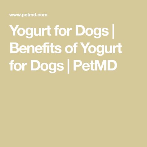 Yogurt for Dogs | Benefits of Yogurt for Dogs | PetMD Plain Yogurt Benefits, Greek Yogurt For Dogs, Yogurt For Dogs, Benefits Of Yogurt, Homemade Yogurt Recipes, Source Of Calcium, Dog Probiotics, Yogurt Benefits, Making Yogurt