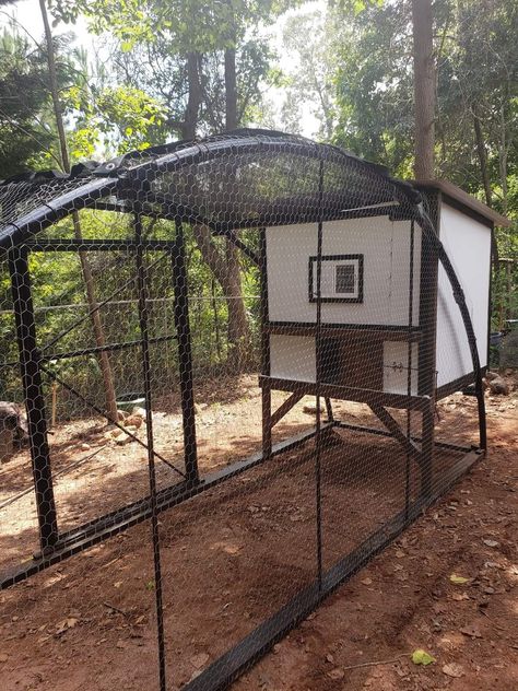 Chicken Coop Trampoline Frame, Trampoline Animal Shelter, Smart Chicken Coop Ideas, Upcycled Trampoline Ideas, Trampoline Chicken Run, Trampoline Chicken Tractor, Trampoline Coop, Trampoline Chicken Coop Diy, Chicken Coop Trampoline