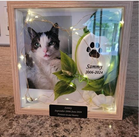 Cat Memorials Diy, Cat Shadow Box Memorial, Pets Memorial Ideas, Cat Memorial Shadow Box Ideas, Diy Pet Memorial Ideas Dogs, Pet Keepsake Ideas, Pet Sympathy Quotes, Pet Memorial Ideas Dogs, Shadowbox Ideas