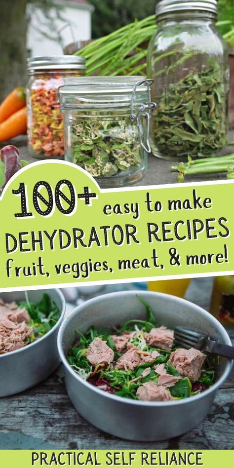 Drying Food Preservation, Things You Can Dehydrate, Good Dehydrator, What Foods Can You Dehydrate?, Recipes Using Dehydrated Foods, Foods That Can Be Dehydrated, What Can You Dehydrate, Food Dehydration Chart, Best Foods To Dehydrate