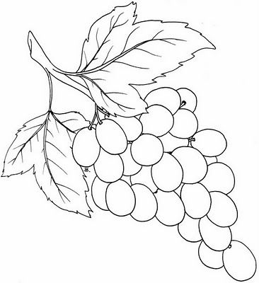 bunch of graoes template | Beccy's Place: Bunch of Grapes Grape Drawing, Vine Drawing, Grape Painting, Pyrography Patterns, Stencil Wood, Bunch Of Grapes, Patterns Printable, Stencil Templates, Leaf Drawing