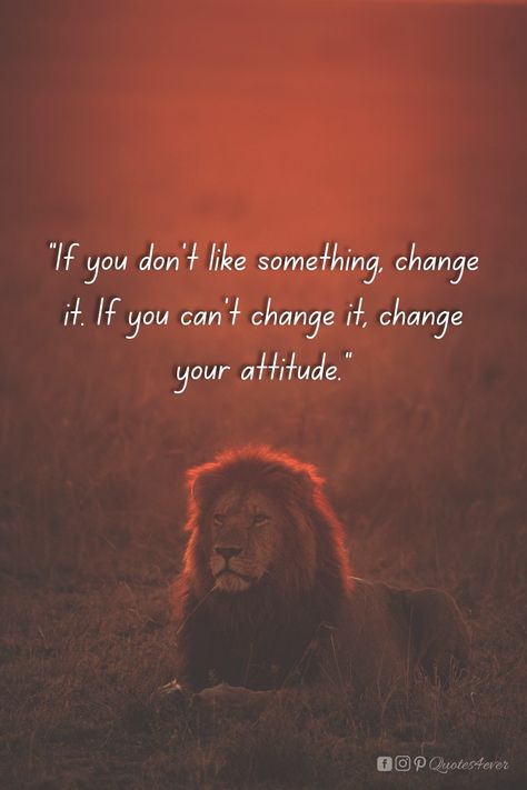 Change Attitude Quotes, If You Don’t Like Something Change It, Change Your Attitude, Dont Change, What Is Meant, Live Happy, Change Quotes, Life Motivation, Attitude Quotes