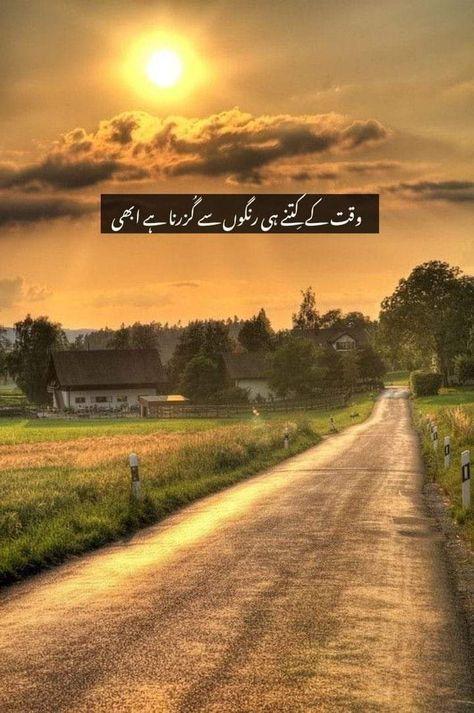 Aesthetic Urdu Lines, Urdu Captions, More To Life Quotes, Live And Learn Quotes, Nice Poetry, One Line Poetry, One Word Instagram Captions, Short Instagram Quotes, One Line Quotes