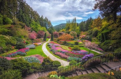 Butchart Gardens Spring Butchart Gardens, Victoria Canada, Concert Stage, Most Beautiful Gardens, Outdoor Concert, Better Homes And Garden, Gardens By The Bay, The Concert, Public Garden