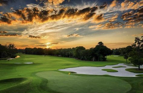 Golf Scenery, Golf Course Photography, Golf Pictures, Golf Club, Golf Course, Travel Dreams, Golf Clubs, Golf Courses, Golf