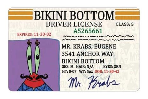 Spongebob Logic, Spongebob Crafts, Spongebob Pics, Spongebob Birthday Party, Money Stickers, Credit Card Design, Mr Krabs, Spongebob Patrick, Spongebob Birthday