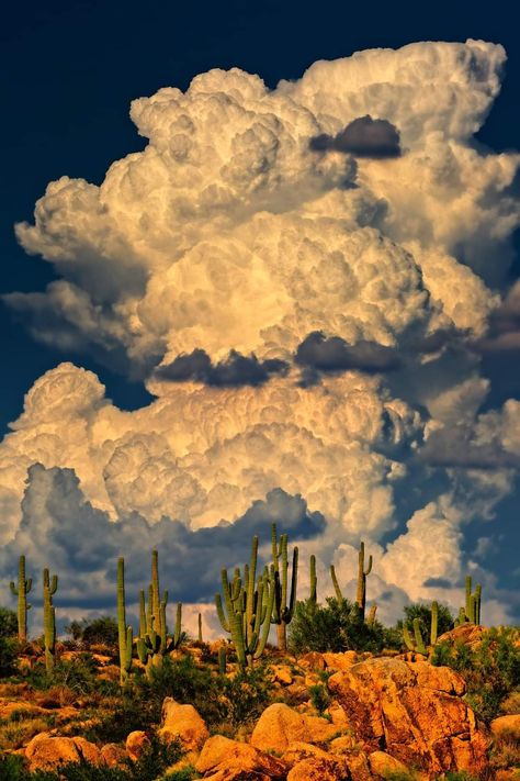 Monsoon Clouds, Waiting For Rain, Country Wallpaper, Desert Aesthetic, Wallpaper Aesthetics, Western Artwork, Desert Painting, Pretty Landscapes, Cowboy Art