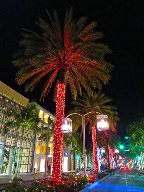 This is how we do it in Beverly Hills...with Palm trees and Baccarat Crystal chandeliers lining the street! #RodeoDrive #BeverlyHills #Christmas Beverly Hills Christmas, Rodeo Drive Beverly Hills, Beverly Hills Real Estate, Nightclub Design, Beverly Hills Houses, Baccarat Crystal, Crystal Chandeliers, Rodeo Drive, Baccarat