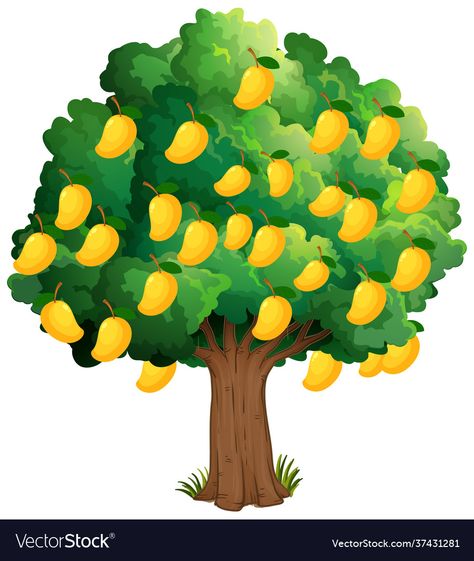 Mango Tree Images, Tree Cartoon Images, Yellow Mango, Solar System Crafts, Baby Animal Drawings, Preschool Activities Toddler, Easy Cartoon Drawings, Bird Gif, Mango Tree