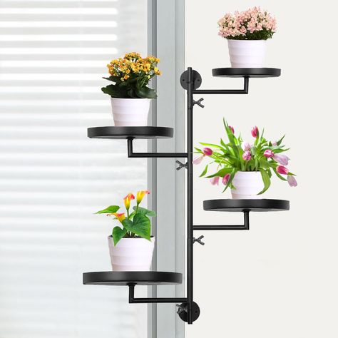 Plant shelves outdoor